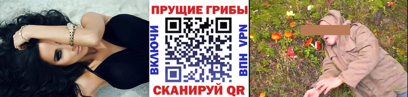 Псилоцибиновые грибы ЛСД  Черкесск 
