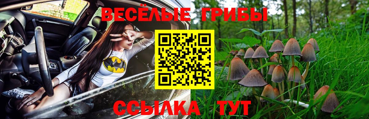 Галлюциногенные грибы мухоморы  Вход с VPN  Черкесск 